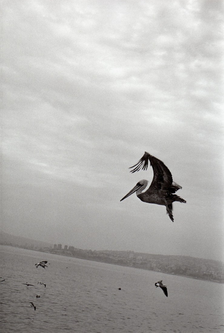 EXPO / Françoise Nuñez – Valparaiso